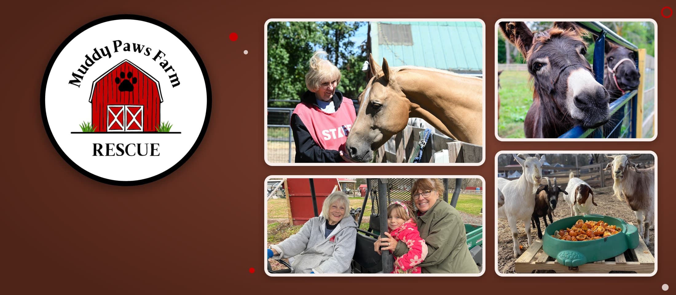 Muddy Paws Farm Rescue barn badge beside photos of a volunteer with Dare the horse, two donkeys at the fence, volunteers with a young visitor in the farm UTV, and goats eating pumpkins
